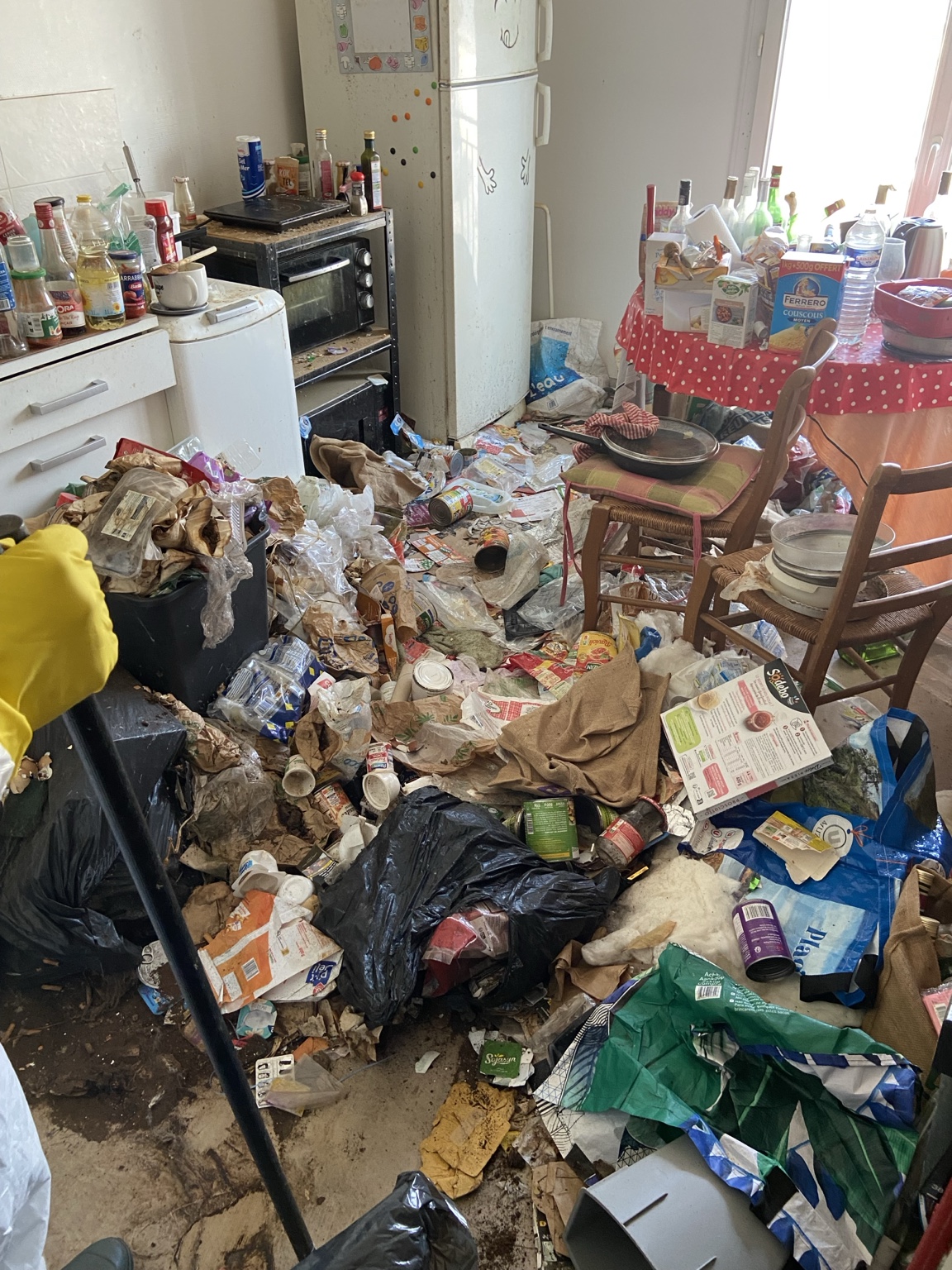 Cuisine encombrée avec une tasse, des appareils et des sacs au sol.