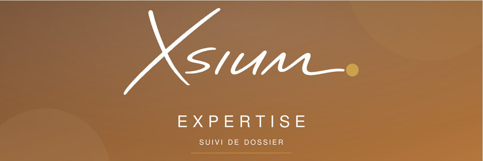 Identité visuelle XSIUM Pôle 02