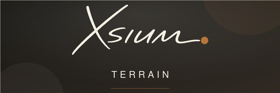Identité visuelle XSIUM Pôle 01